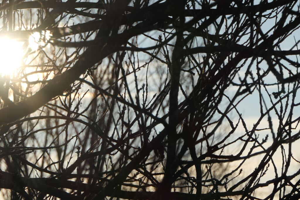 Wochenbettdepression